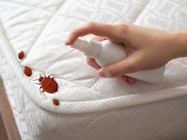 Best Emergency Pest Control  in Sylacauga, AL